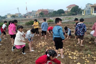 HOẠT ĐỘNG TRẢI NGHIỆM TRONG GIÁO DỤC TRẺ MẦM NON – TRƯỜNG MẦM NON GIAO PHONG