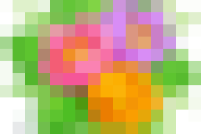 LAN TỎA YÊU THƯƠNG – TẾT NHÂN ÁI XUÂN BÍNH NGỌ 2026