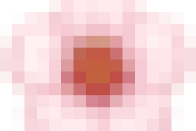 TẤM LÒNG NHÂN ÁI – NHỮNG GIỌT MÁU HỒNG TỪ TRÁI TIM CÁC CÔ GIÁO MẦM NON GIAO PHONG